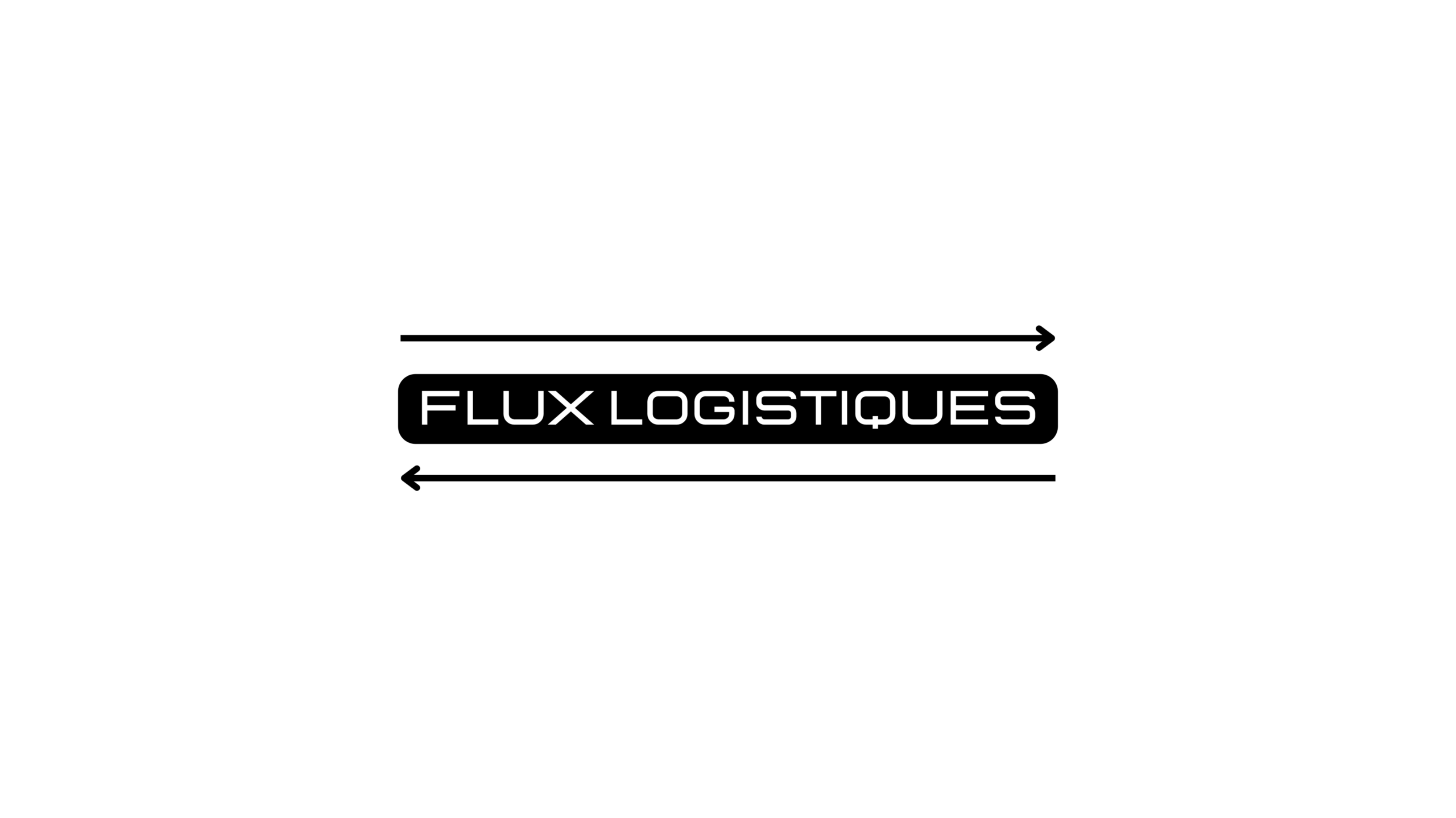 FLUX LOGISTIQUES (Site Web)